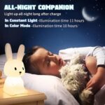 raabbit4