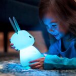 rabbit 9