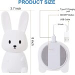 rabbit6
